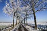 Het Binnenveld