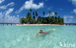 Indian Ocean