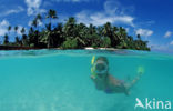 Indian Ocean