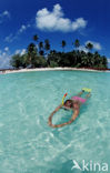 Indian Ocean