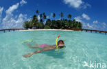 Indian Ocean
