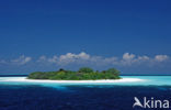 Indian Ocean