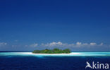 Indian Ocean