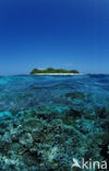 Indian Ocean