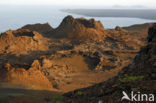 Isla Bartolomé