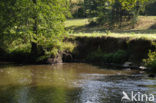 La Petite Creuse