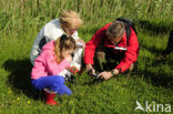 Lage land van Texel