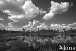 Fulufjället National Park