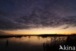 Nationaal Park Lauwersmeer