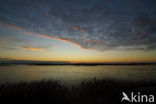 Nationaal Park Lauwersmeer