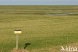 Nationaal Park Lauwersmeer