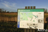 Nationaal Park Lauwersmeer