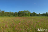 Nationaal Park Weerribben-Wieden