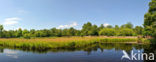 Nationaal Park Weerribben-Wieden