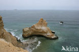 Paracas National Reserve