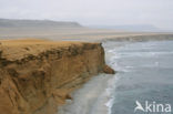 Paracas National Reserve