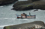 Paracas National Reserve