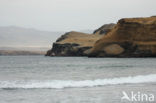 Paracas National Reserve