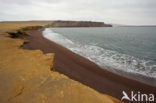 Paracas National Reserve