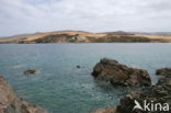 Paracas National Reserve