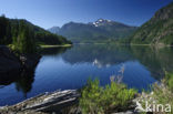 Strathcona Provincial Park