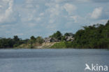 Tamshiyacu Tahuayo Reserve