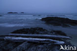 Ucluelet