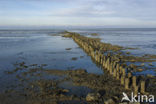 Waddenzee