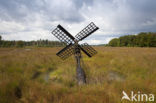 Grolloerveen