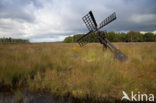 Grolloerveen
