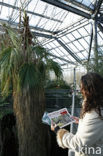 Hortus Botanicus