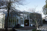 Hortus Botanicus