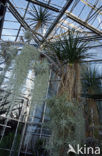 Hortus Botanicus