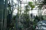 Hortus Botanicus