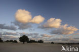 Nationaal Park Drents-Friese Wold