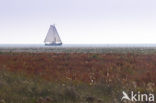 Nationaal park Schiermonnikoog