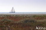 Nationaal park Schiermonnikoog