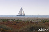 Nationaal park Schiermonnikoog