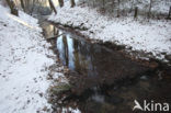 National Park Veluwezoom
