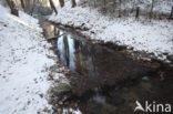 Nationaal Park Veluwezoom