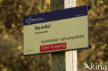Noordal