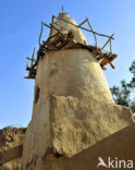 Bahariya Oasis