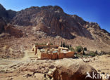 Saint Catherine s Monastery