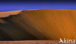 Libyan Desert