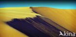 Libyan Desert