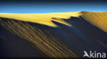 Libyan Desert