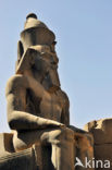Luxor Temple