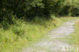 Nationaal Park Lauwersmeer