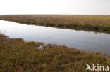 National Park Schiermonnikoog