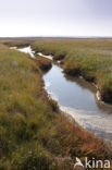National Park Schiermonnikoog